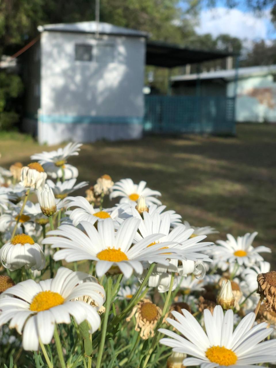 Lazy Days Caravan Park Vasse Εξωτερικό φωτογραφία